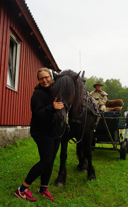 Hest er best Hest er best