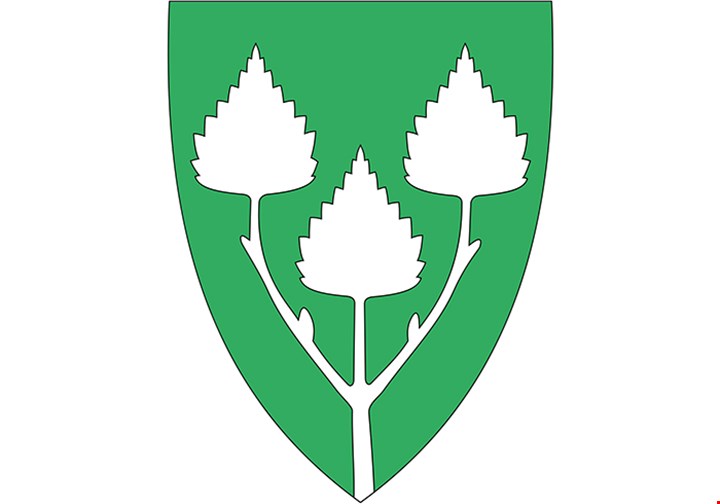 Birkenes kommune