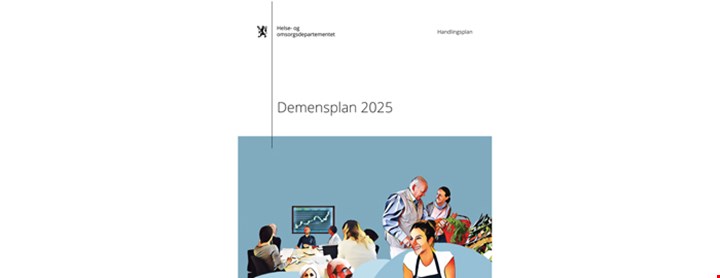 Demensplan 2025