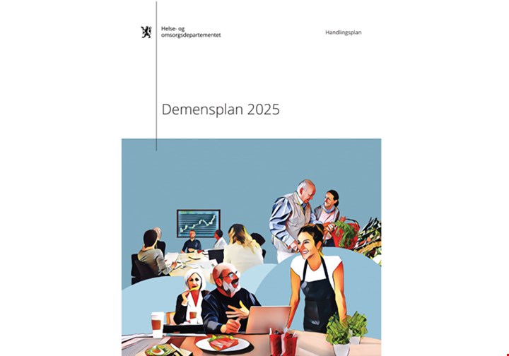 Demensplan 2025