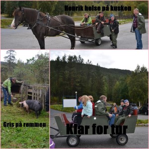 Tur med hest og kjærre