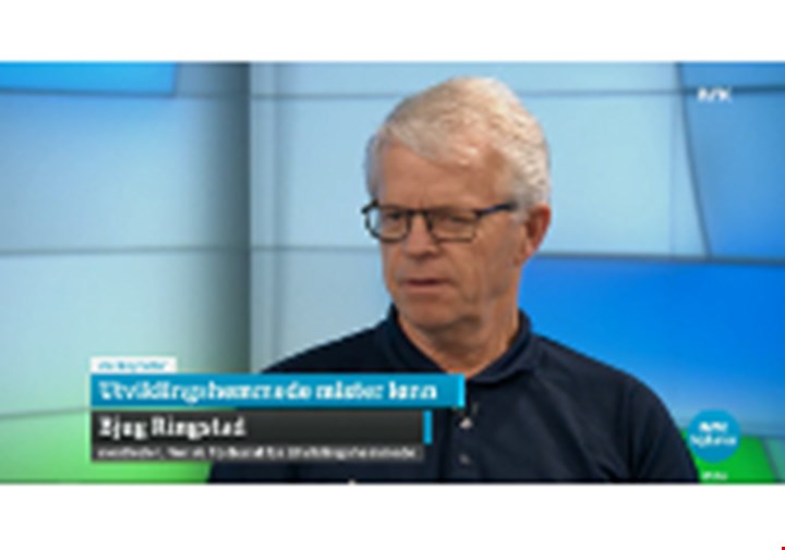 Skjermdump av Bjug Ringstad