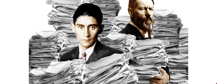 Illustrasjon av brukermedvirker