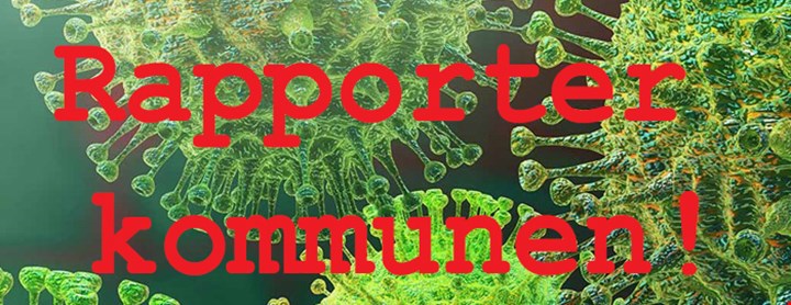 Rapporter kommunen