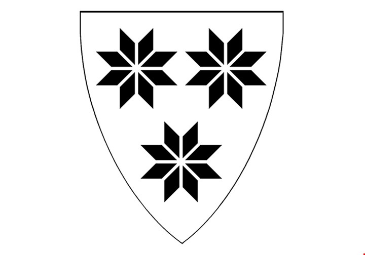 Kommunevåpen, Selbu kommune