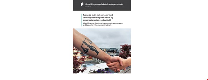 Tilsynsrapporten fra LDO